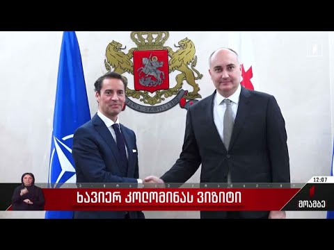 თავდაცვის მინისტრი ნატო-ს გენმდივნის სპეციალურ წარმომადგენელს შეხვდა